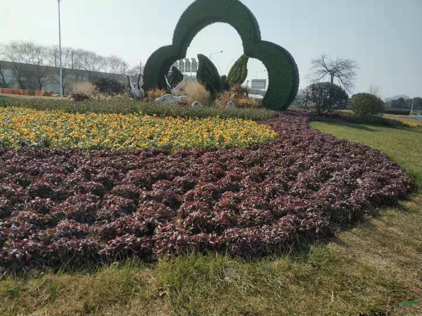 4.jpg