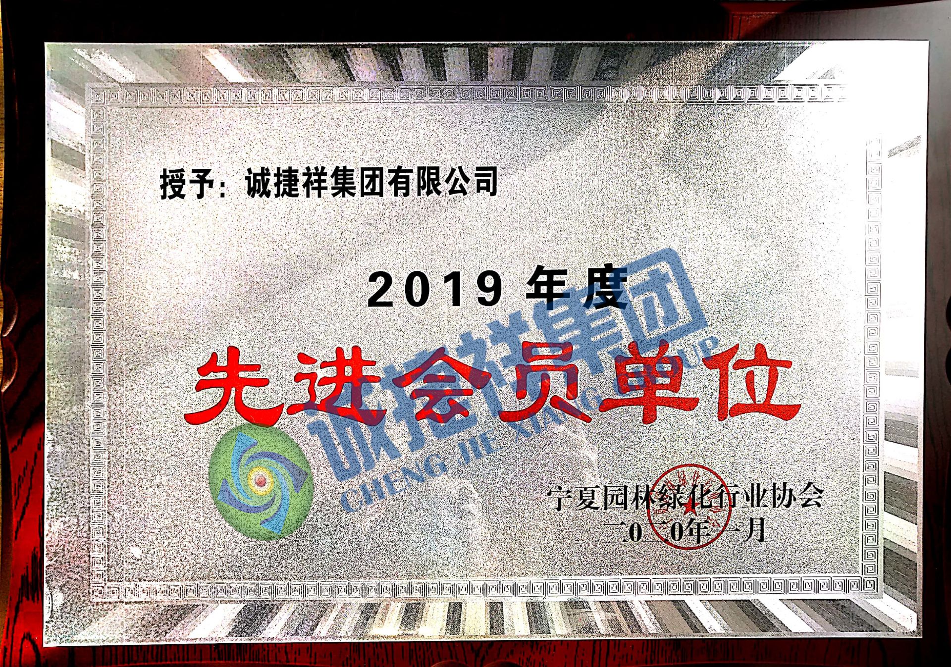 2019年度先进会员单位